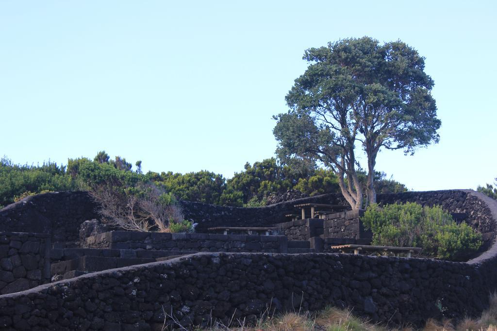 Adega Do Mirante Βίλα São Roque do Pico Δωμάτιο φωτογραφία