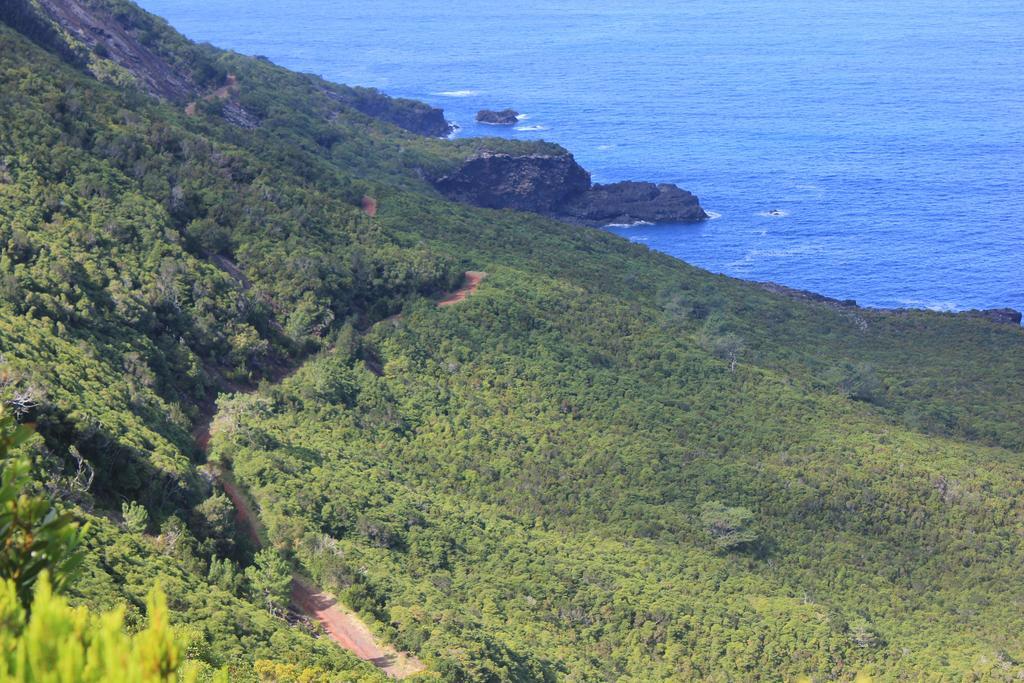 Adega Do Mirante Βίλα São Roque do Pico Δωμάτιο φωτογραφία